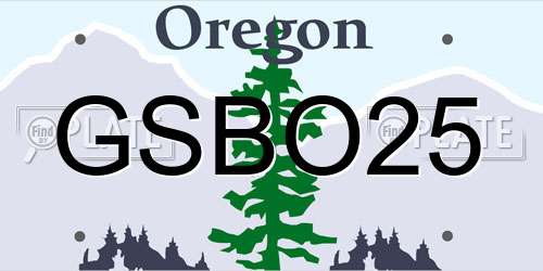 GSBO25 Oregon License Plate