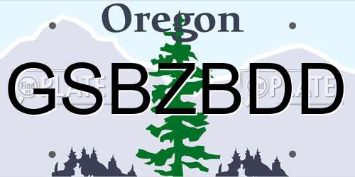 GSBZBDD Oregon License Plate