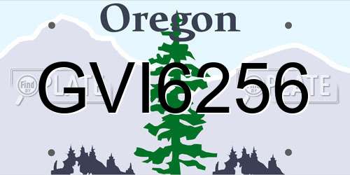 GVI6256 Oregon License Plate