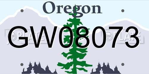 GW08073 Oregon License Plate