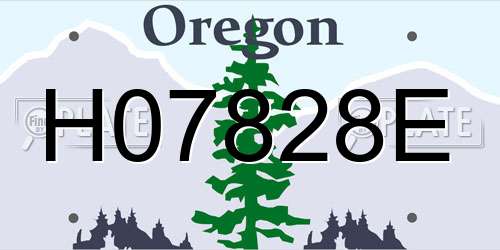 H07828E Oregon License Plate