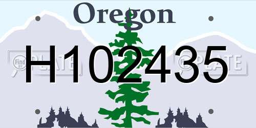 H102435 Oregon License Plate