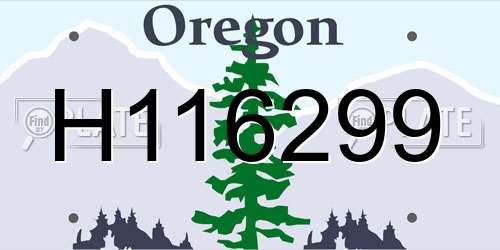 H116299 Oregon License Plate