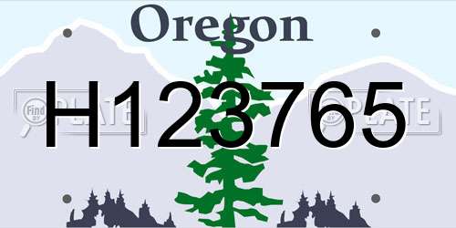 H123765 Oregon License Plate