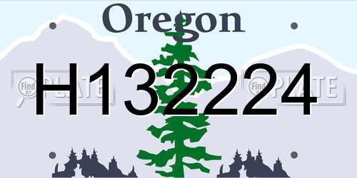 H132224 Oregon License Plate