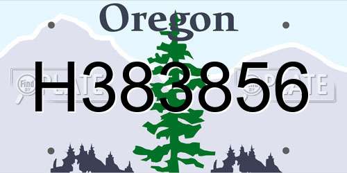 H383856 Oregon License Plate