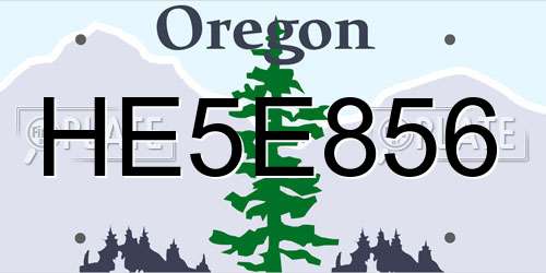 HE5E856 Oregon License Plate