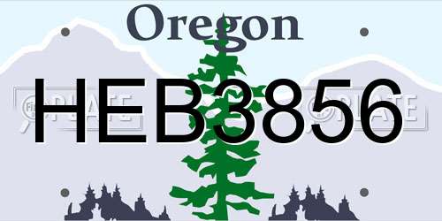 HEB3856 Oregon License Plate
