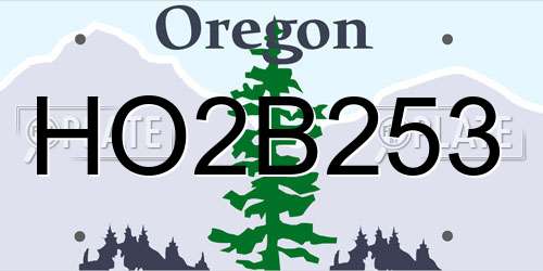 HO2B253 Oregon License Plate