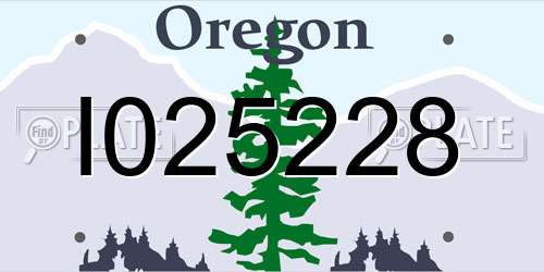 I025228 Oregon License Plate
