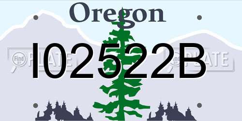 I02522B Oregon License Plate