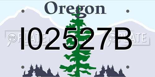I02527B Oregon License Plate