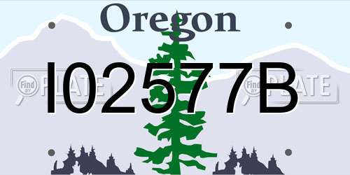 I02577B Oregon License Plate