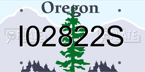 I02822S Oregon License Plate