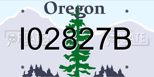 I02827B Oregon License Plate