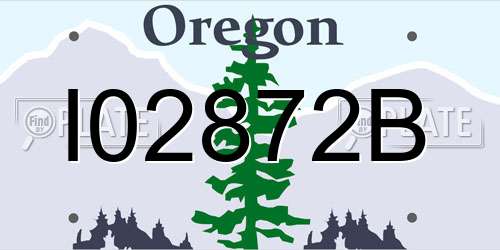 I02872B Oregon License Plate
