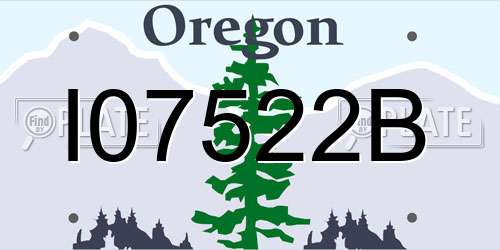 I07522B Oregon License Plate