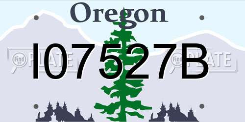 I07527B Oregon License Plate