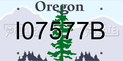 I07577B Oregon License Plate