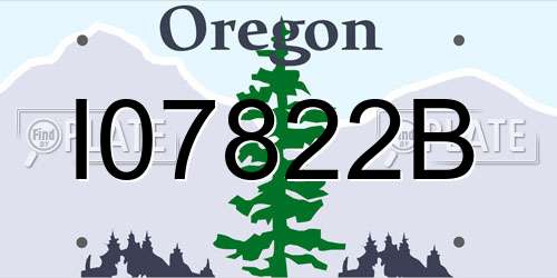 I07822B Oregon License Plate
