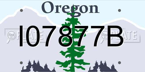 I07877B Oregon License Plate