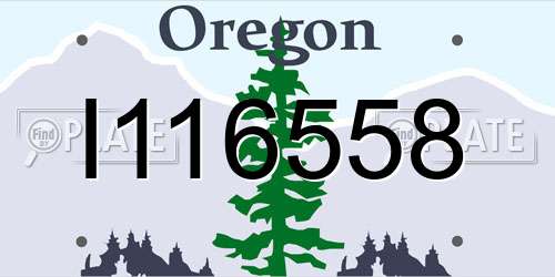 I116558 Oregon License Plate