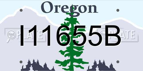 I11655B Oregon License Plate