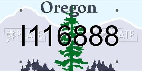 I116888 Oregon License Plate