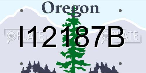 I12187B Oregon License Plate