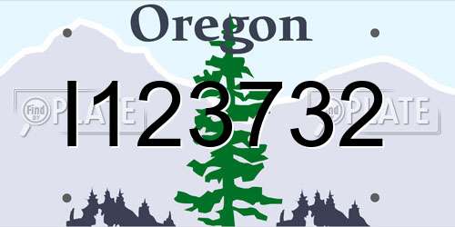 I123732 Oregon License Plate
