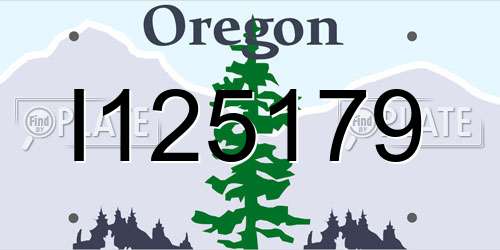 I125179 Oregon License Plate