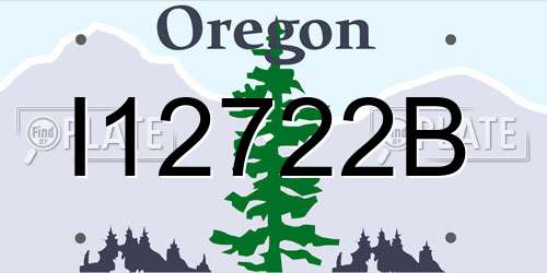 I12722B Oregon License Plate