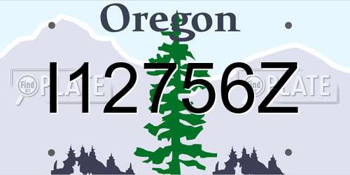 I12756Z Oregon License Plate