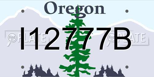 I12777B Oregon License Plate