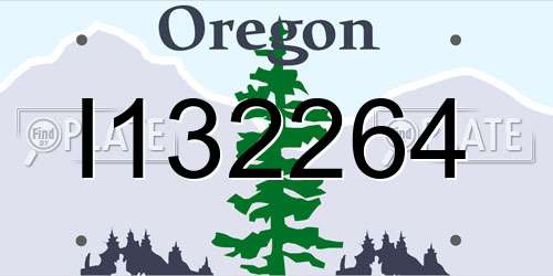 I132264 Oregon License Plate