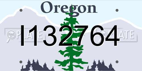 I132764 Oregon License Plate