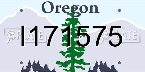 I171575 Oregon License Plate