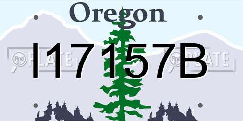 I17157B Oregon License Plate