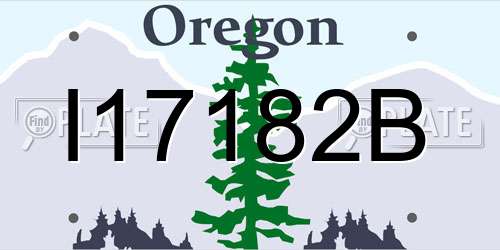 I17182B Oregon License Plate
