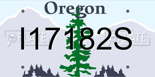 I17182S Oregon License Plate