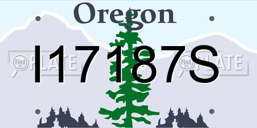 I17187S Oregon License Plate