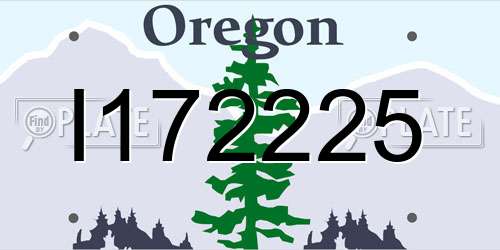 I172225 Oregon License Plate