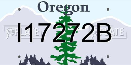 I17272B Oregon License Plate