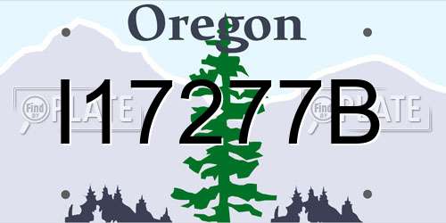 I17277B Oregon License Plate