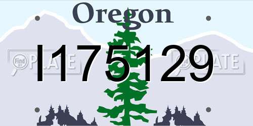 I175129 Oregon License Plate