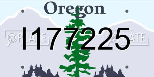 I177225 Oregon License Plate