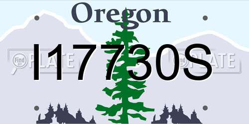 I17730S Oregon License Plate