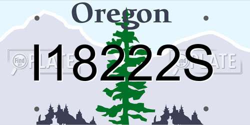 I18222S Oregon License Plate