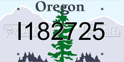 I182725 Oregon License Plate