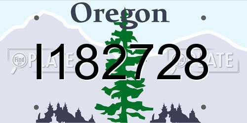 I182728 Oregon License Plate